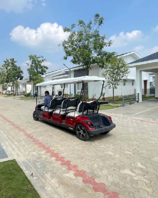 Golf Buggy Transportation.jpg