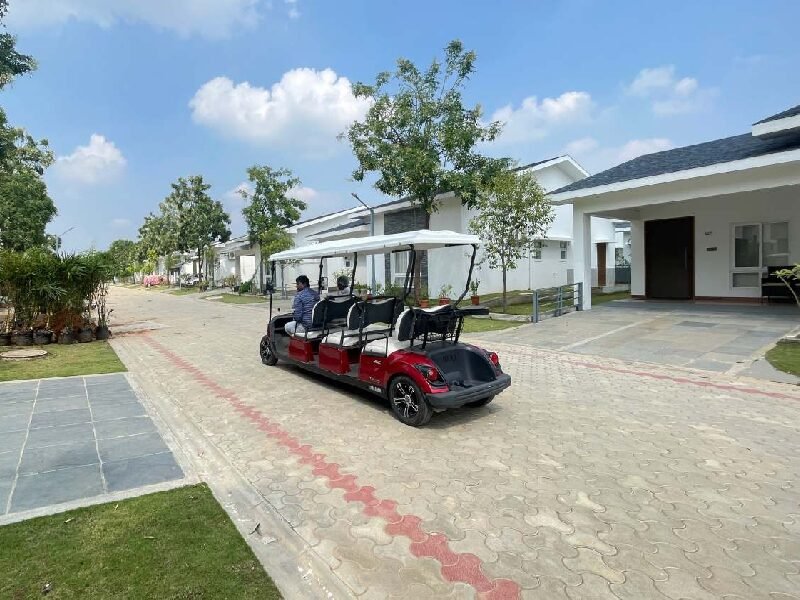 Golf Buggy Transportation.jpg